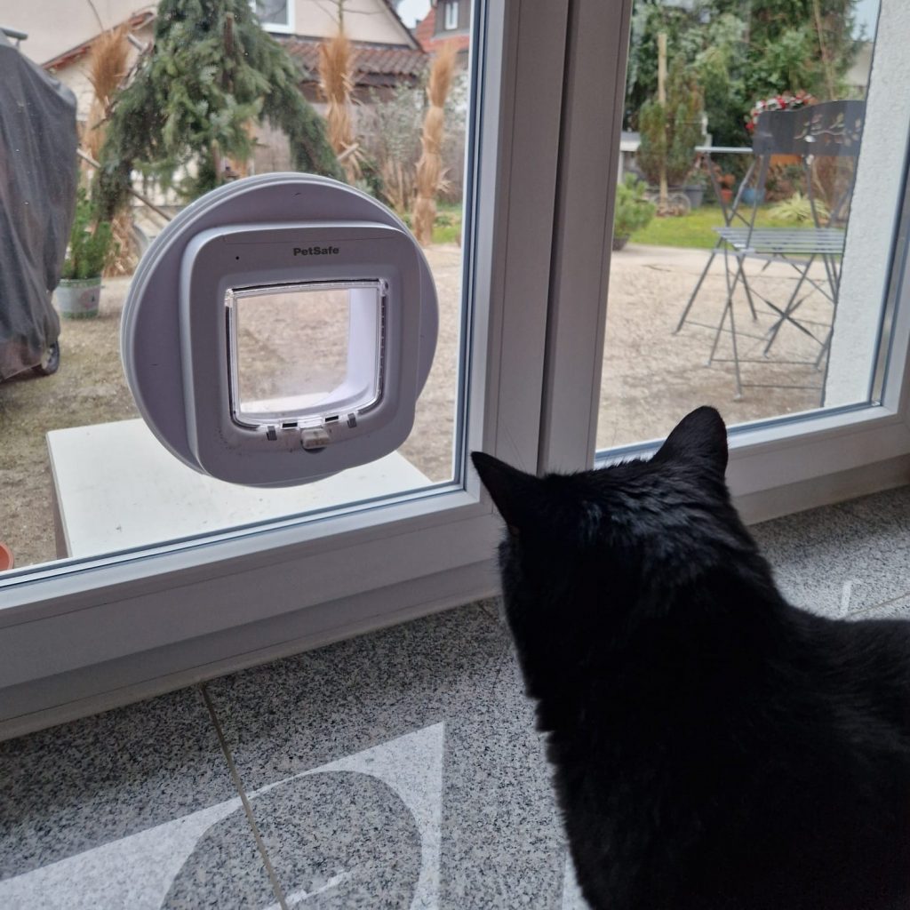 Referenzen: Katze sieht sich Chipgesteuerte Katzenklappe an