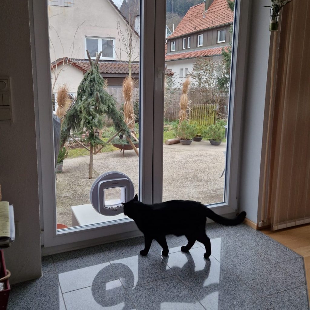 Katze benutzt hochwertige Katzenklappen mit Chiperkennung